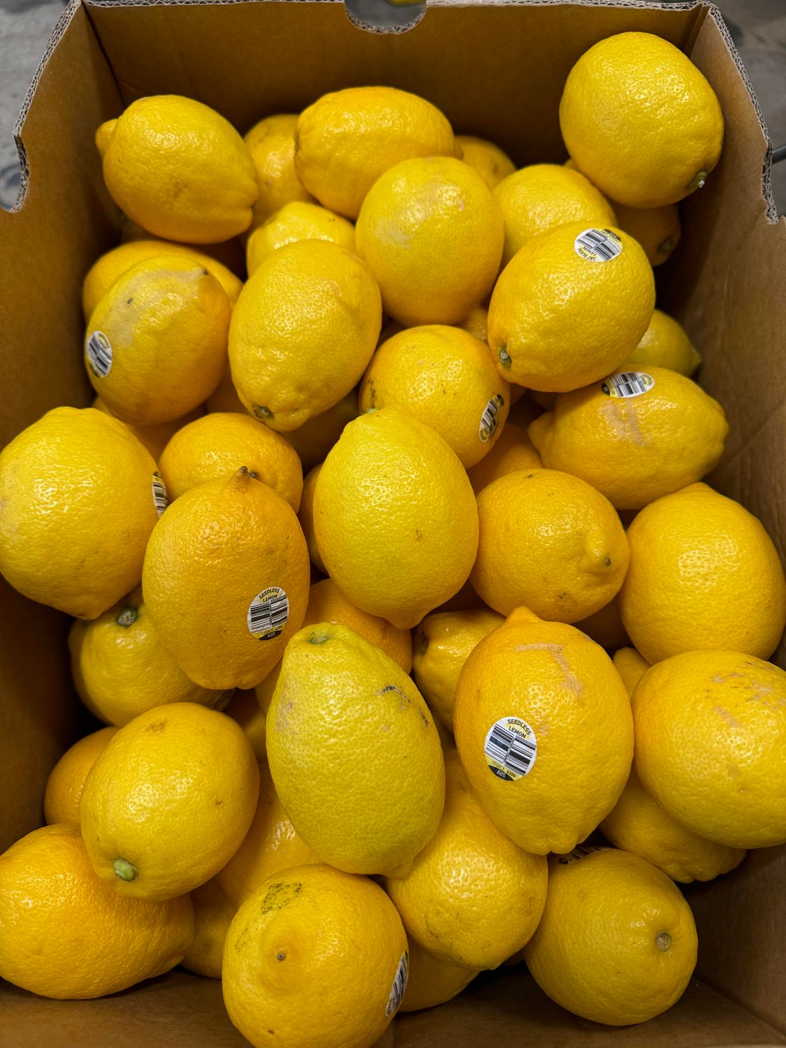 WHOLESALE - Lemons (15KG BOX)
