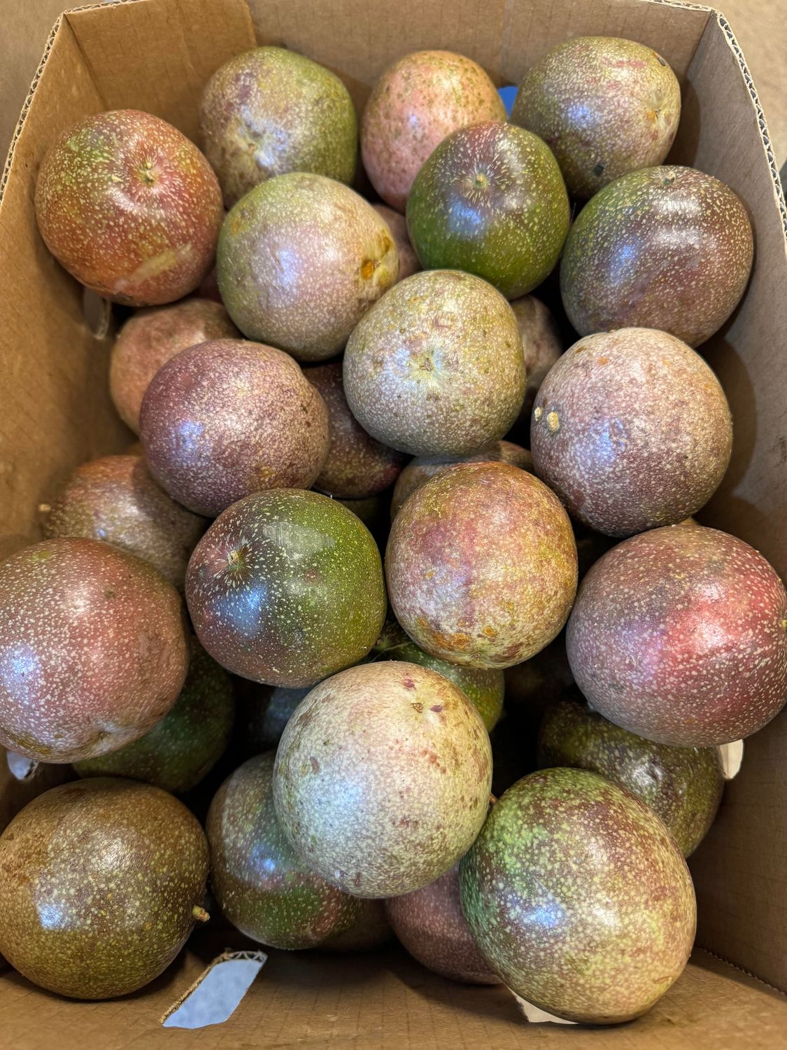 WHOLESALE - Passionfruit