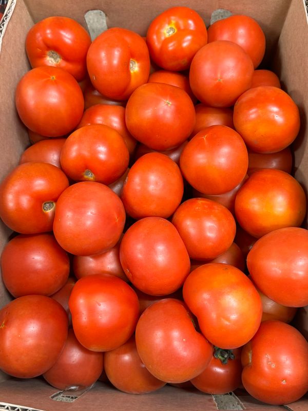 WHOLESALE: Tomato MED (10KG BOX)