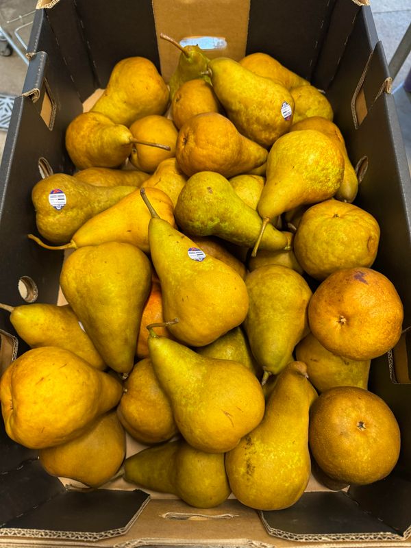 WHOLESALE: B/Bosc Pears