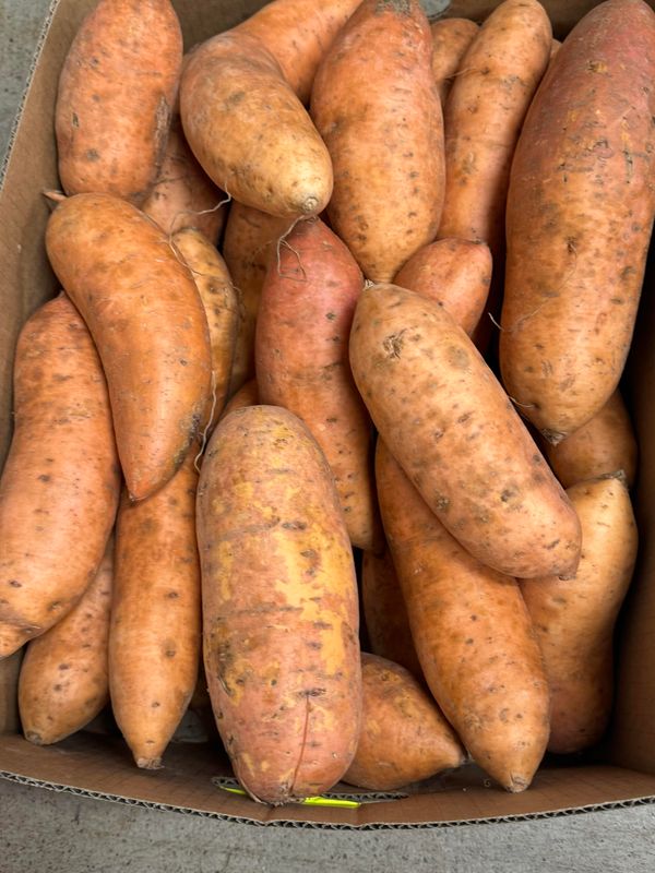 WHOLESALE: Sweet Potato Gold (18KG BOX)
