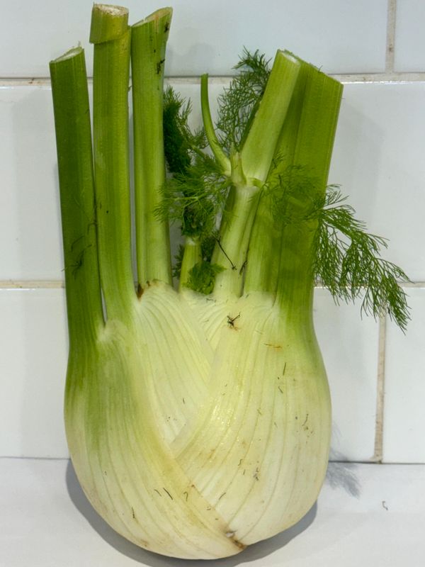 Fennel Bulb, Each