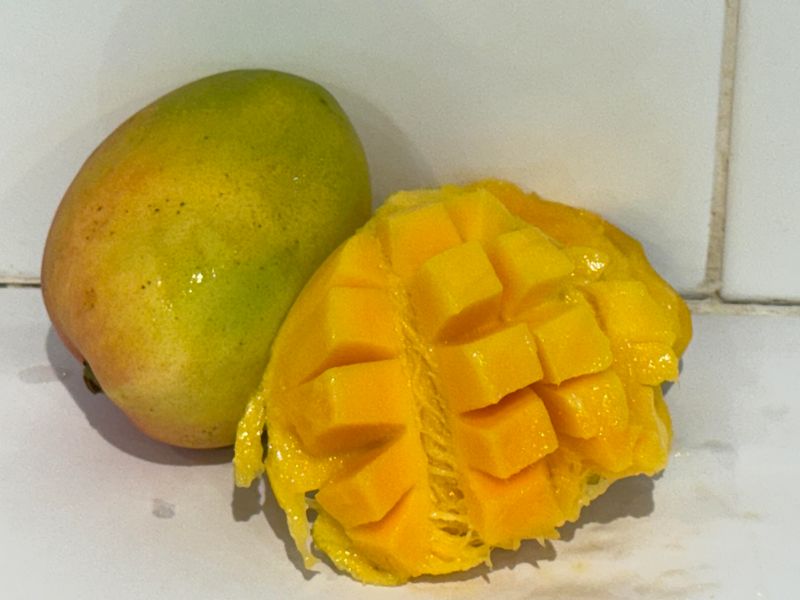 Mango - Kensington Pride (KP), Each