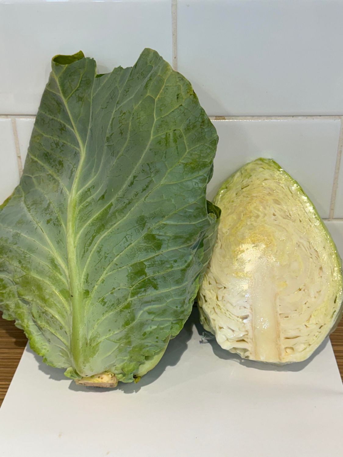 Cabbage - Sugarloaf Half, Each