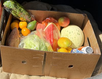 FRUIT N VEG BOXES