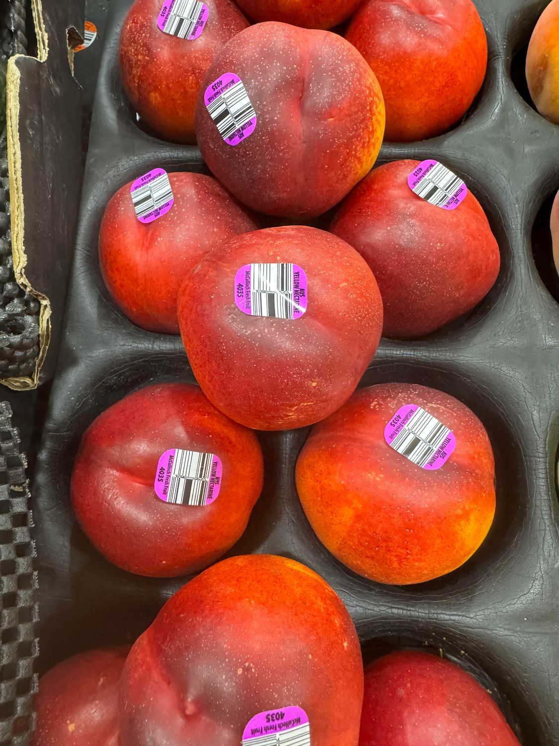 Nectarine LARGE No1, Each YELLOW FLESH