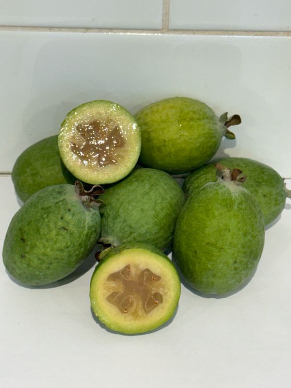 Feijoa, Each