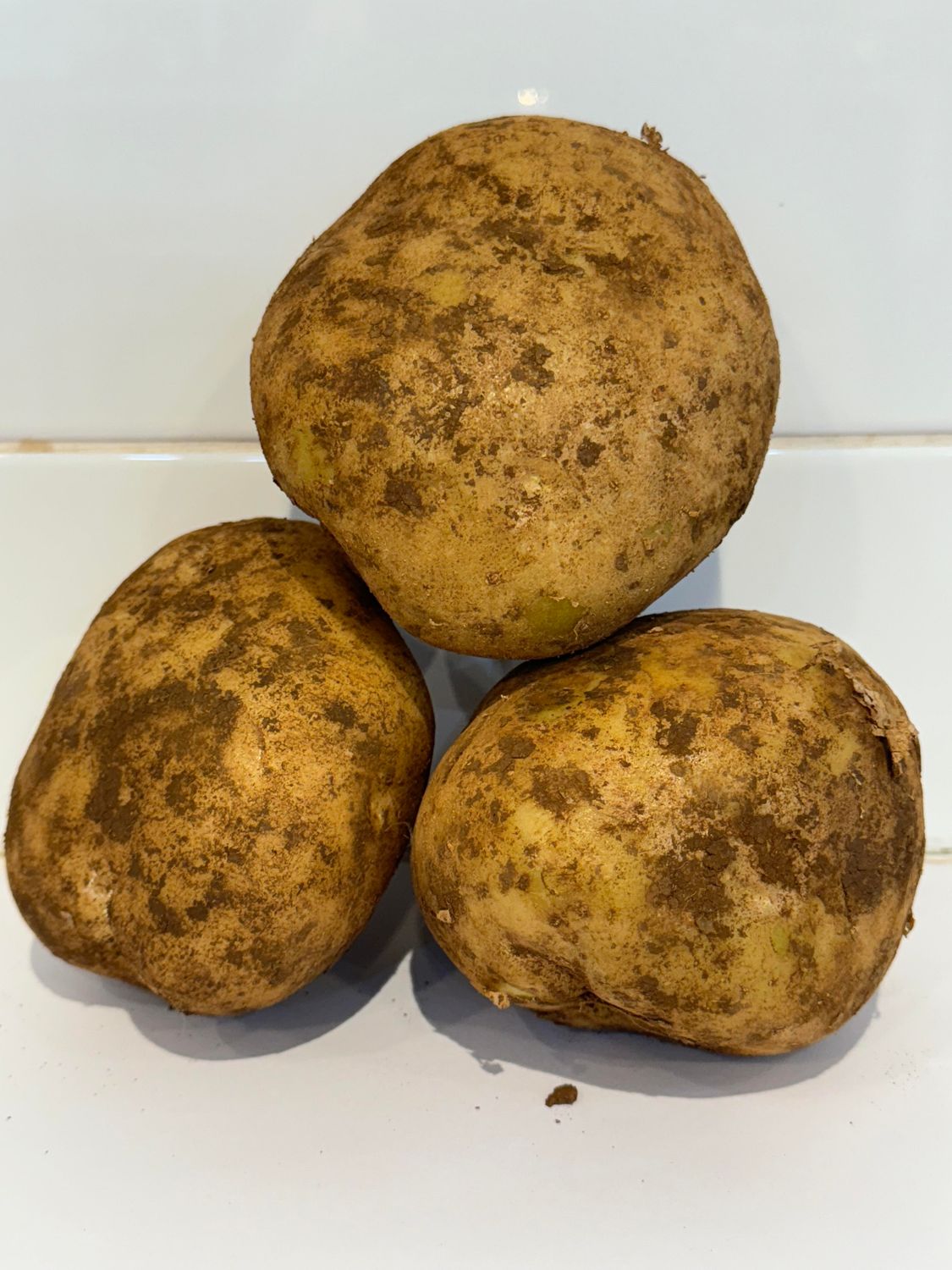 Brushed Potatoes Loose, Each (sml)