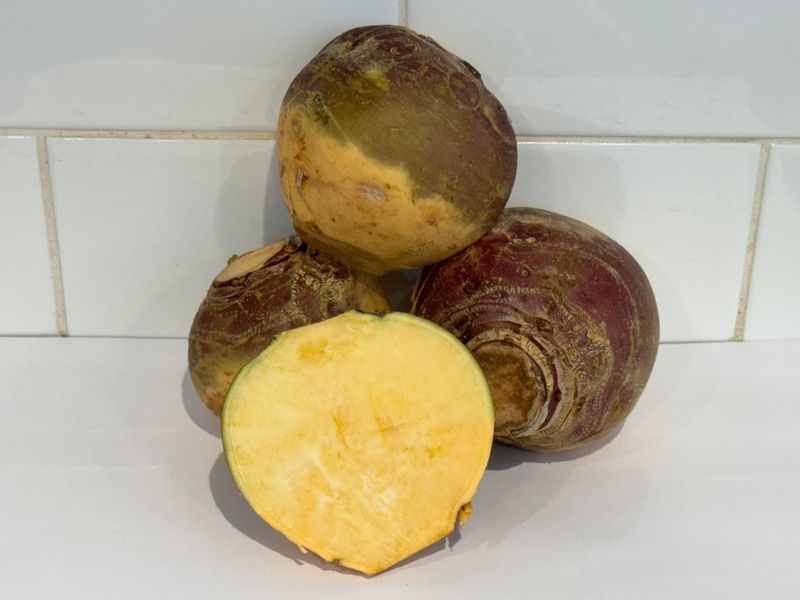 Swede Turnip, Each (LARGE)