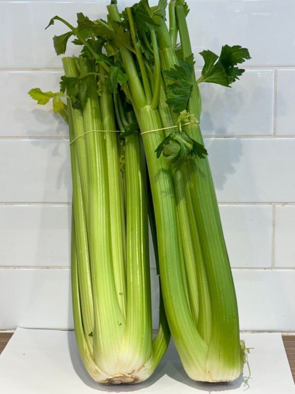 Celery Whole, Each