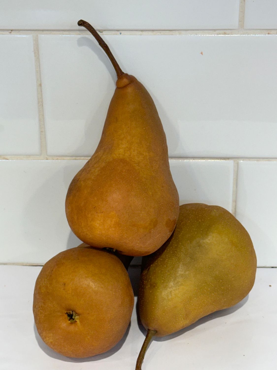 Pears B/Bosc, Each