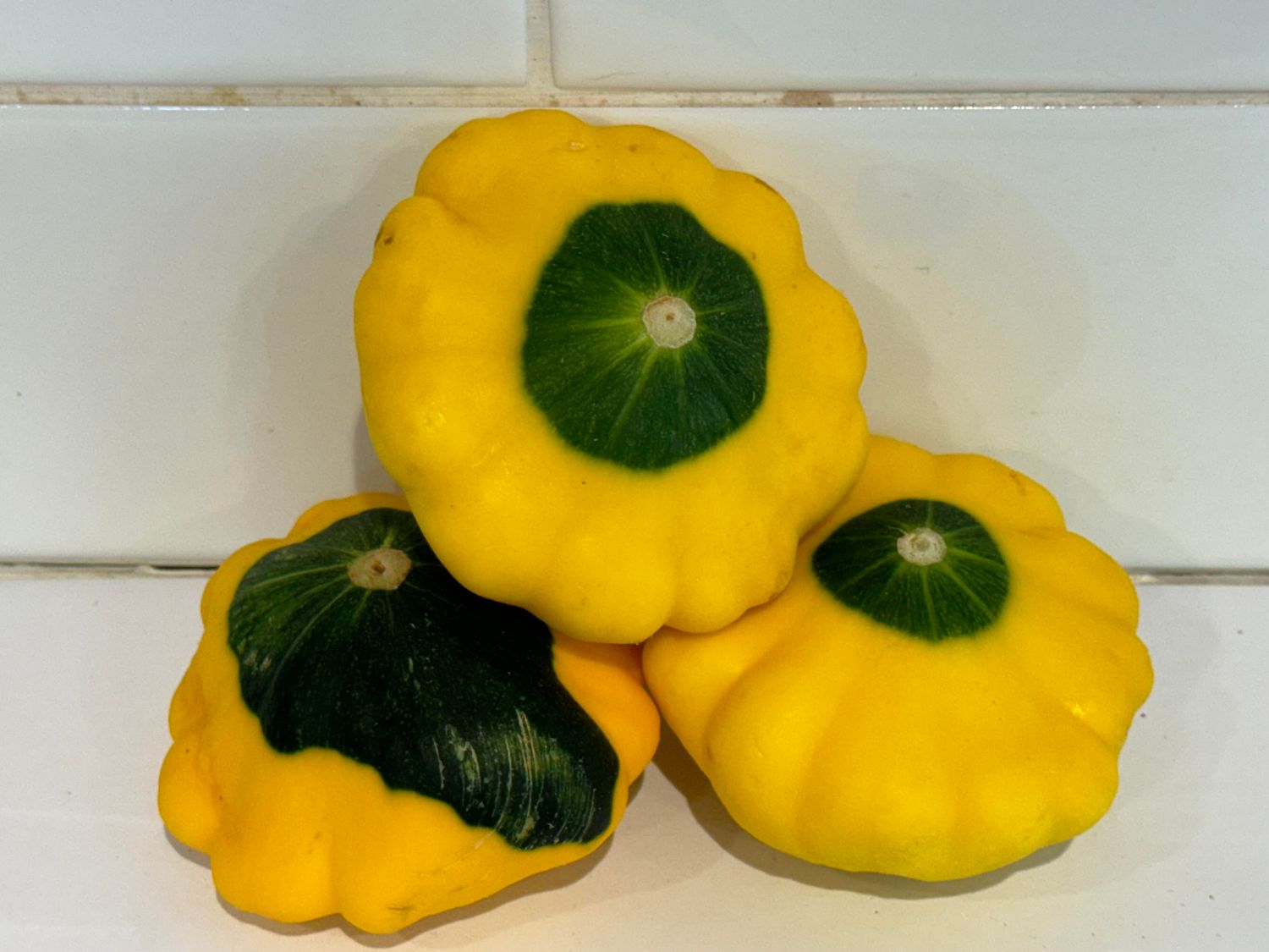 Gold Squash, Each