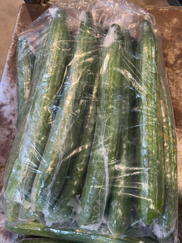 WHOLESALE - Continental Cucumbers (15's)