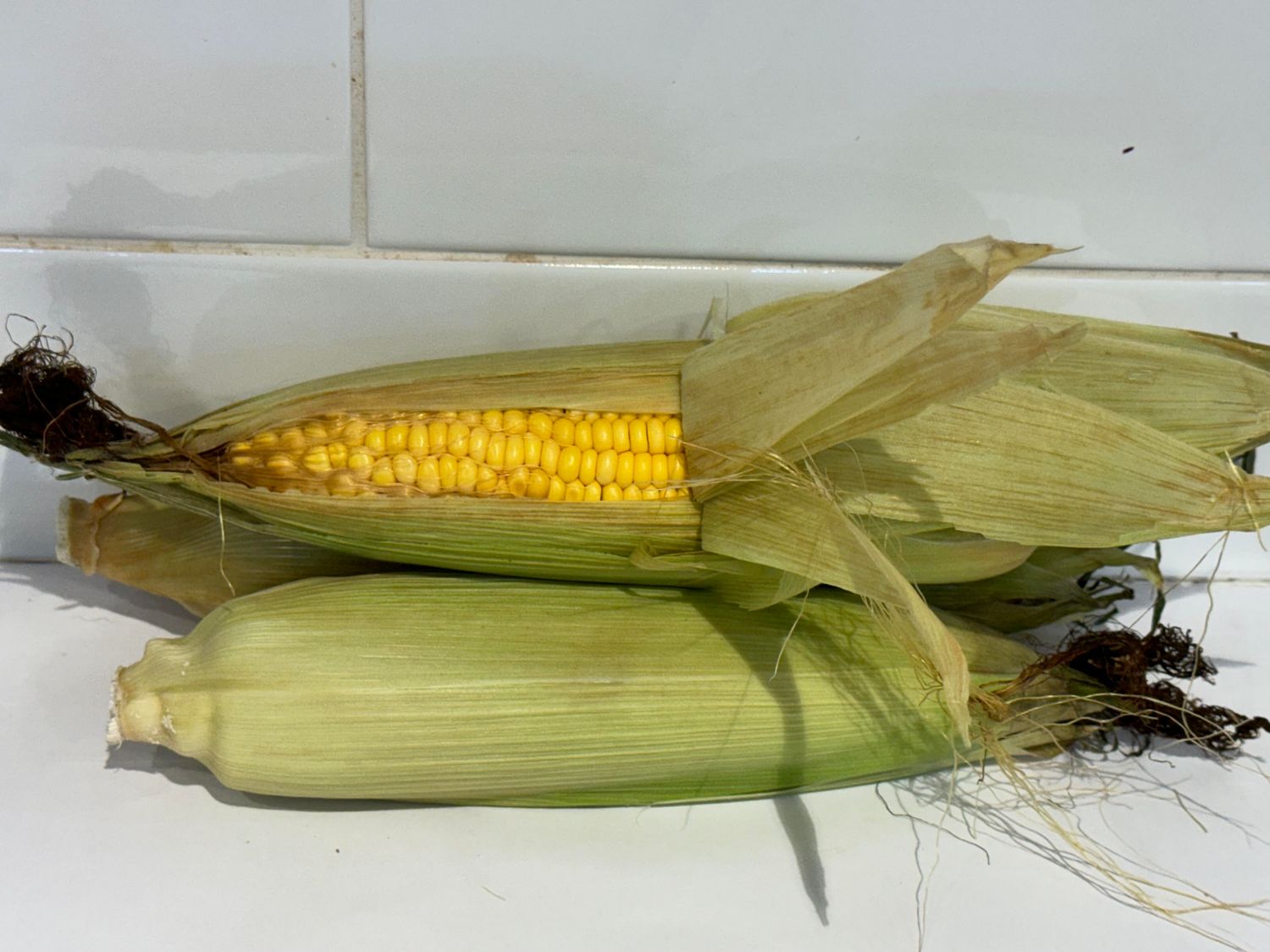 Sweet Corn, Each