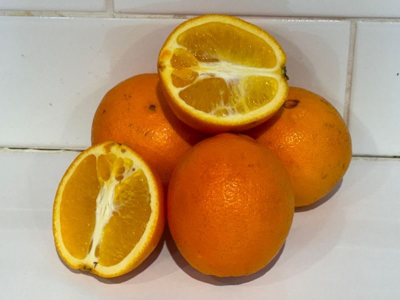 Oranges - Navels, Each