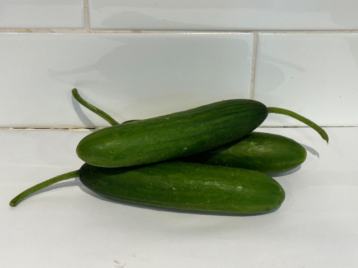 Cucumber Lebanese, Each