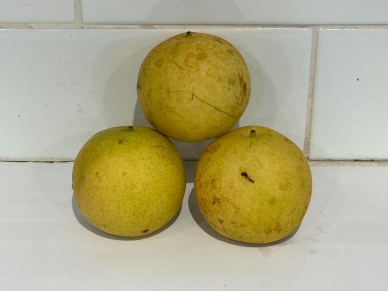 Pears - Nashi, Each