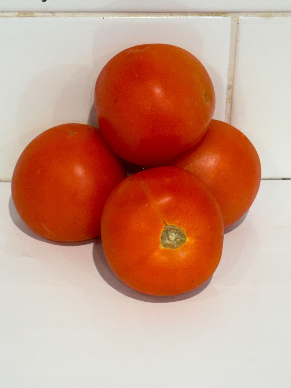 Tomatoes Small Round, Each