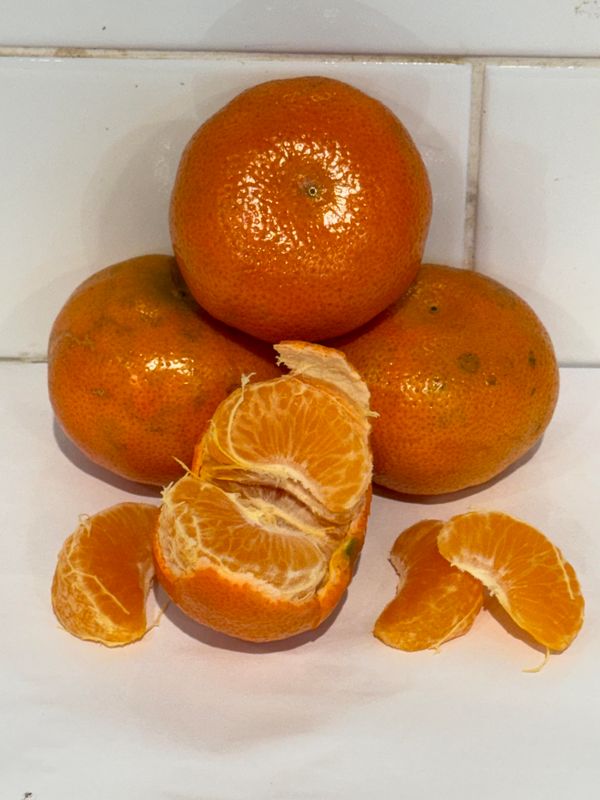 Mandarin Afourer's, Each