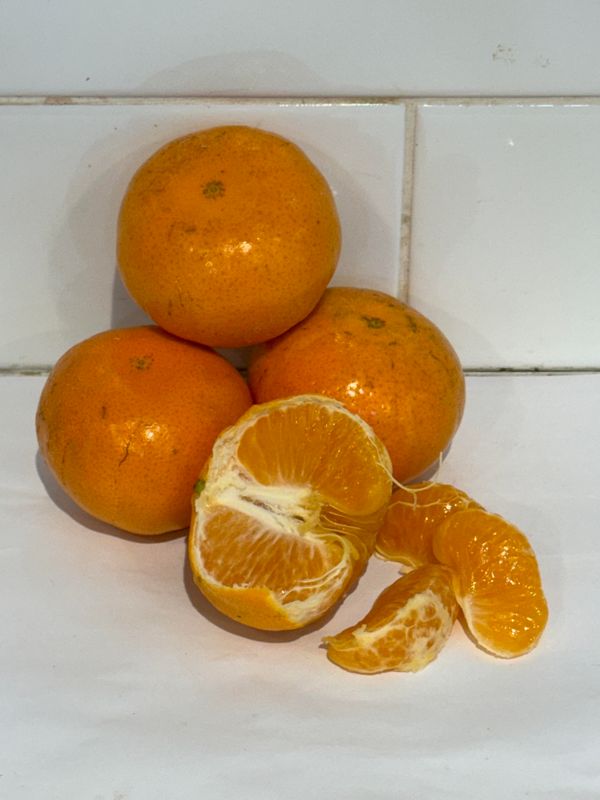 Mandarin - Murcott's, Each