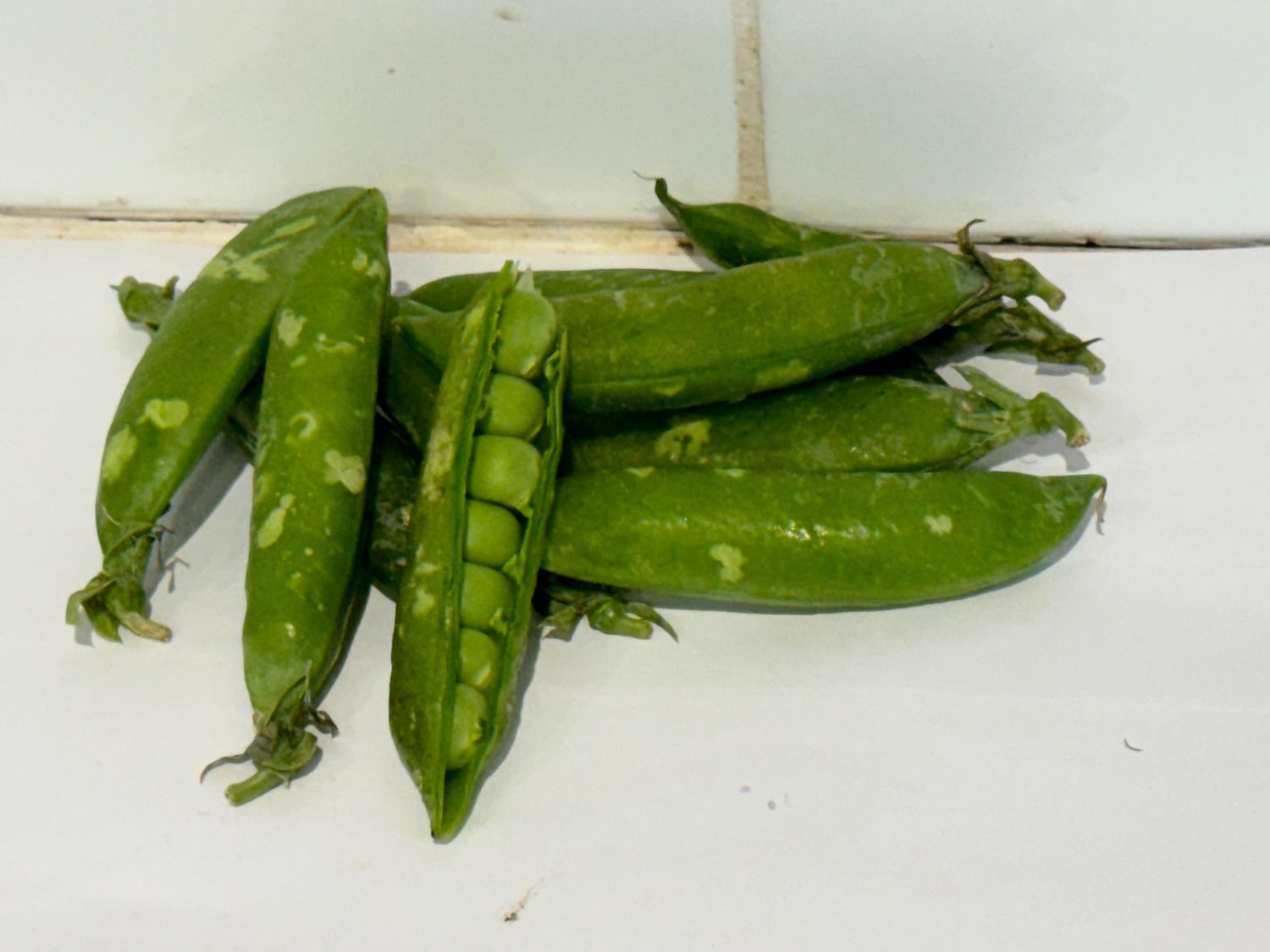Fresh Peas  PER 100G