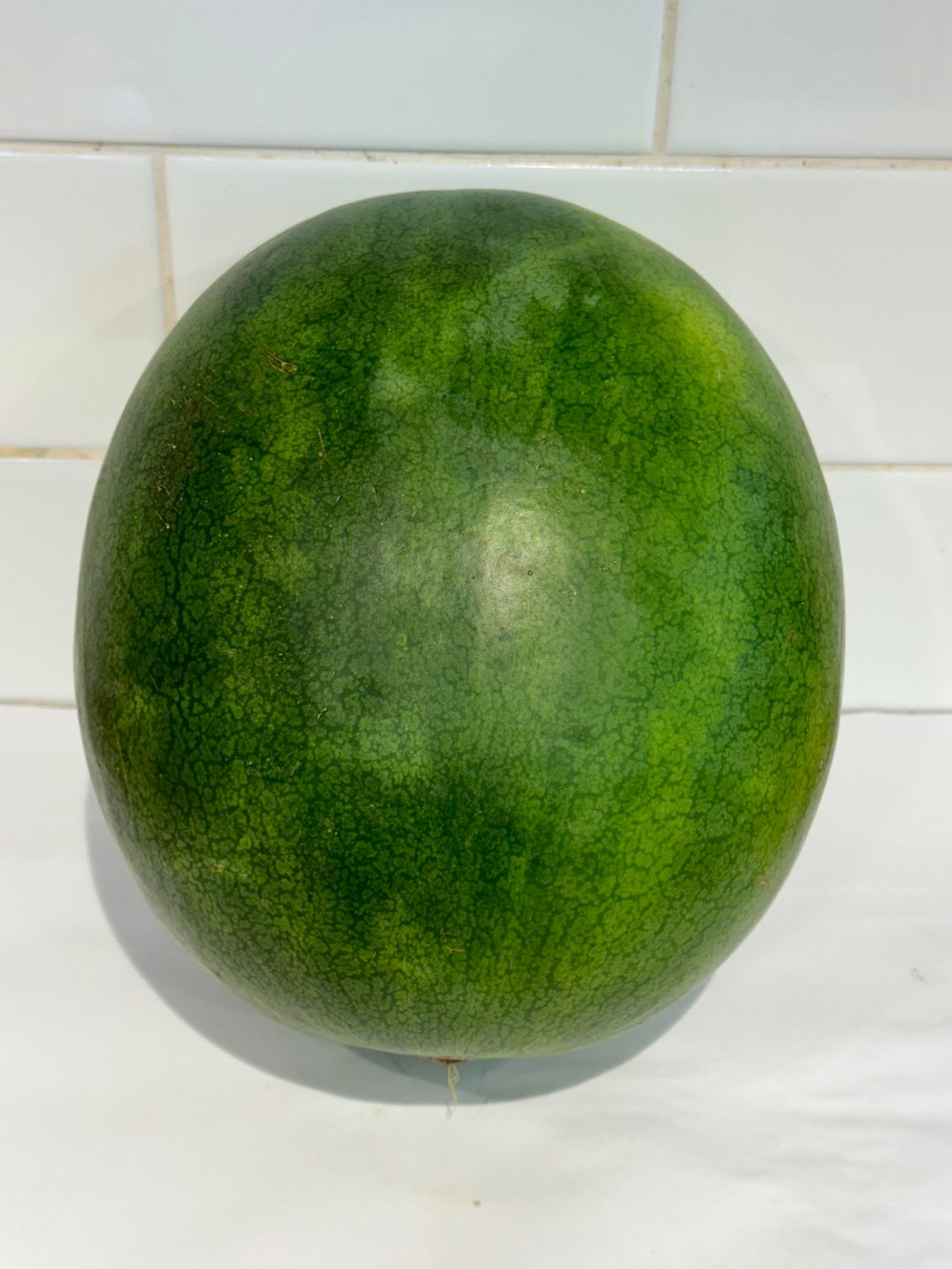Watermelon Whole, Each (SML - MED)