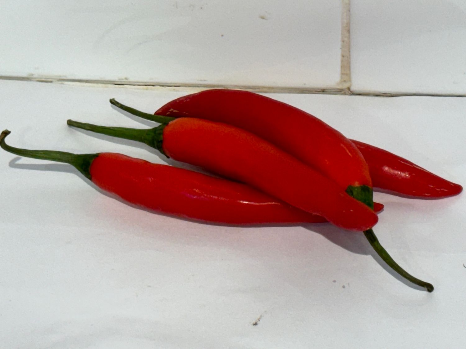 Chilli's Long Red, Each