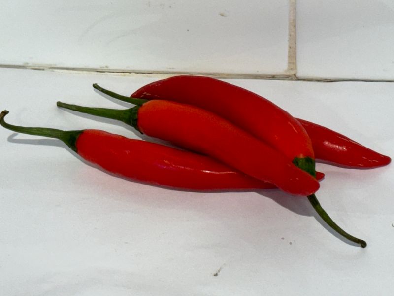 Chilli's Long Red, Each