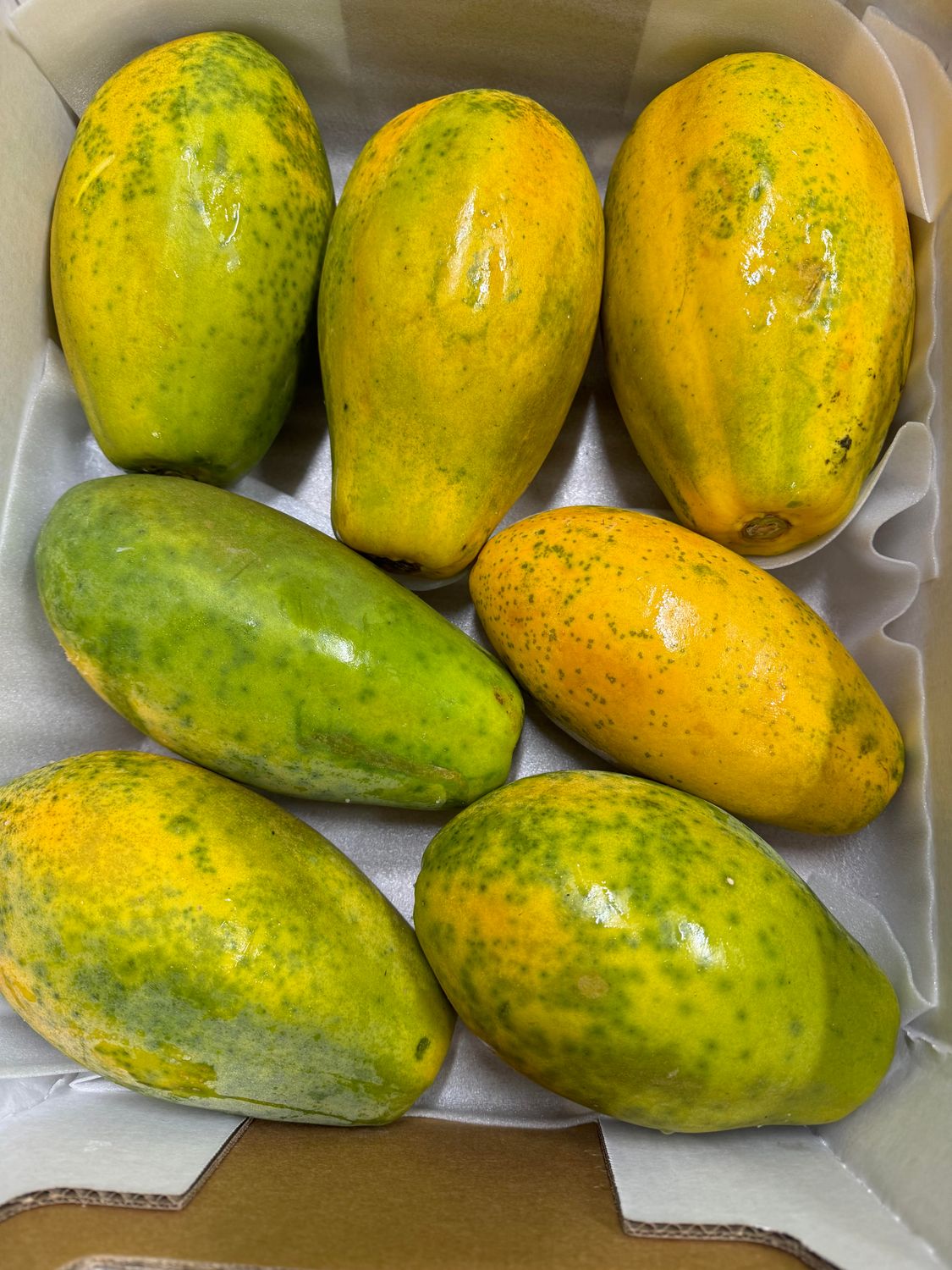 WHOLESALE - Red Papaya (BOX)