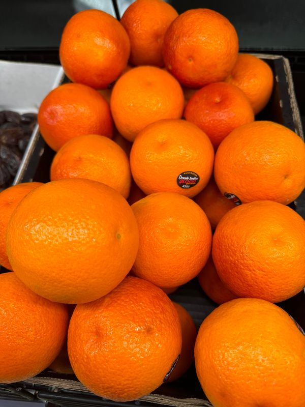 WHOLESALE - Blood Oranges 8KG BOX