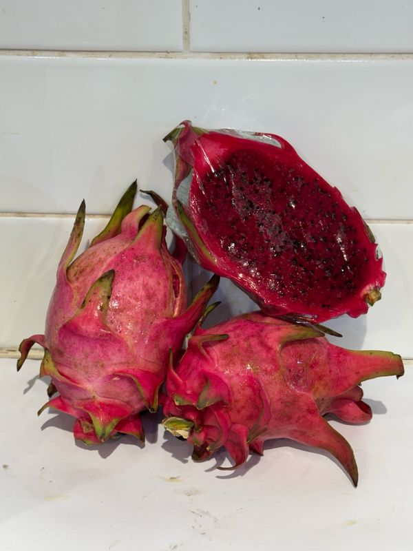 Dragonfruit Red