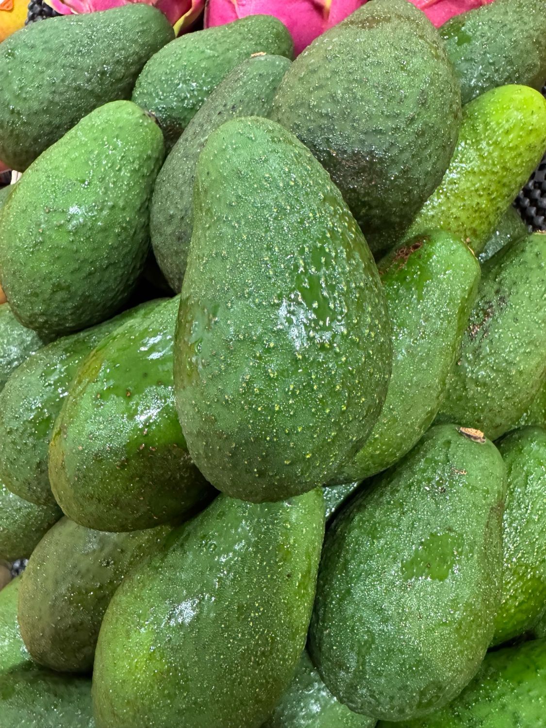 Avocado Shepherd, Each
