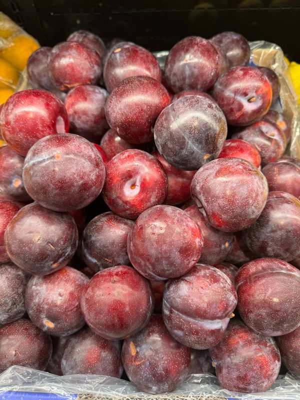 Plum - Queen Garnet, Each