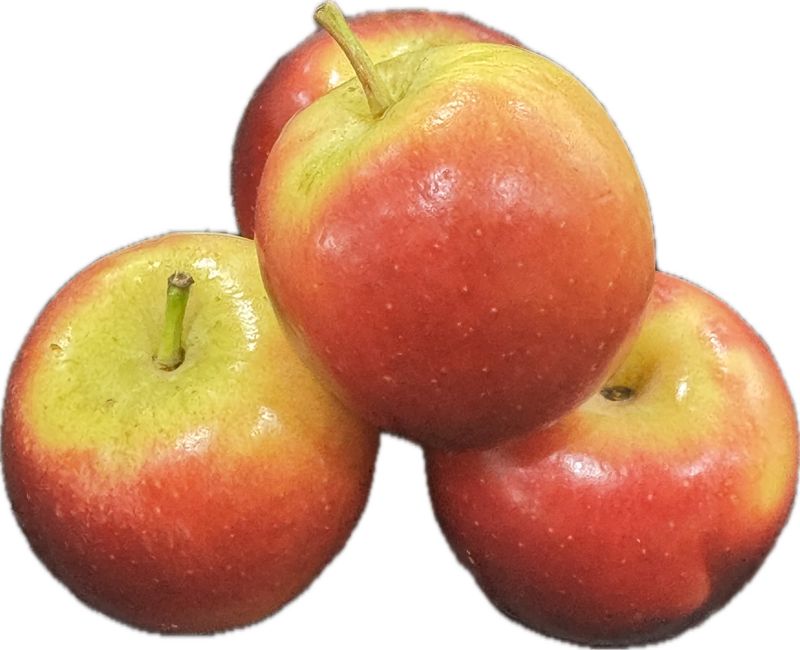 Missile Apples, Each