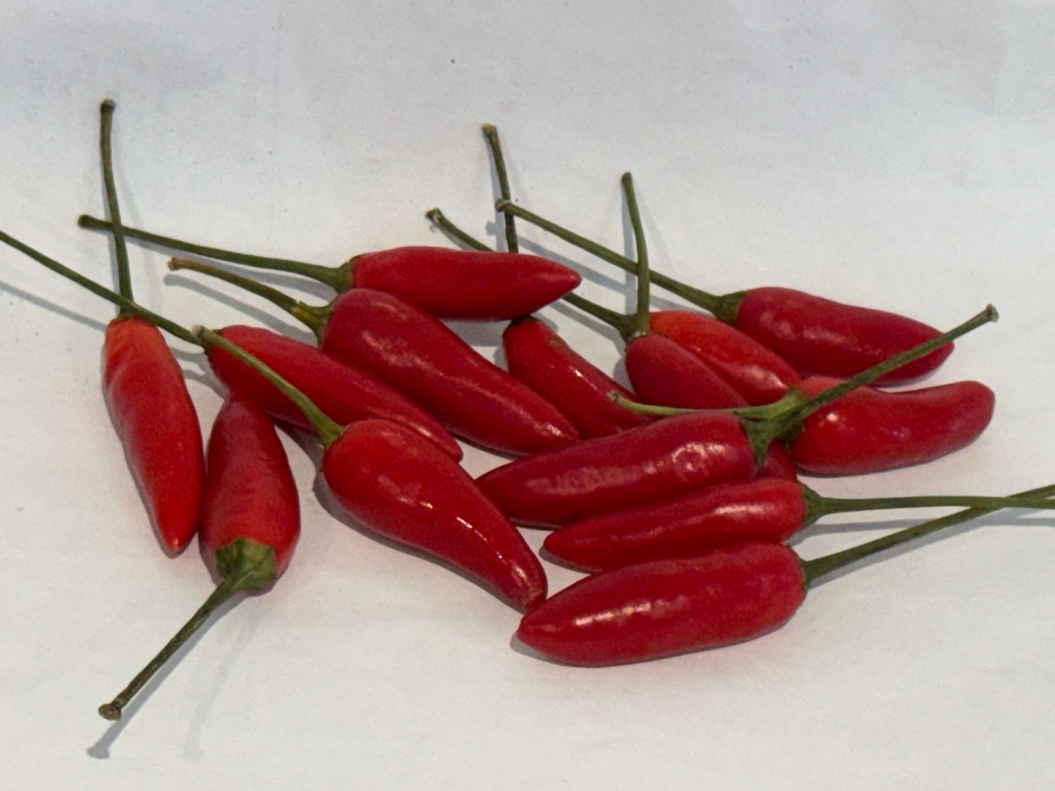 Birdseye Chilli’s, Each