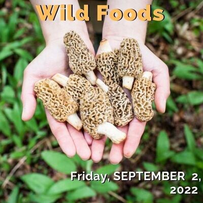 09/02/2022 - Wild Foods