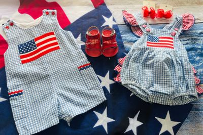 Lil Cactus- Gingham USA Flag Bubble