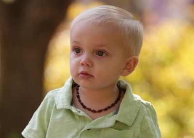Cherished Moments- Nature&#39;s Beads of Love Amber Teething Necklace Unpolished