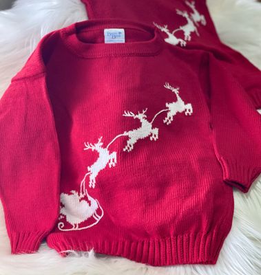 The Bailey Boys- Sleigh Crew Neck Sweater