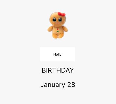 Ty Inc.- Original Beanie Babies 8"- Christmas Edition