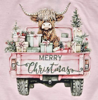M.L. Kids- Highland Cow Christmas Tee Shirt