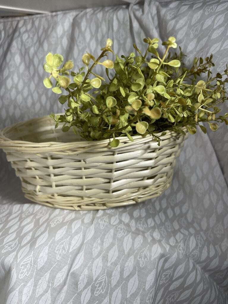 Oval Willow Tray