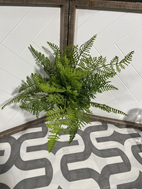 16&quot; Fern Bush