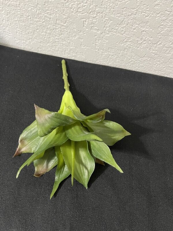 9&quot; Green Succulent Spray