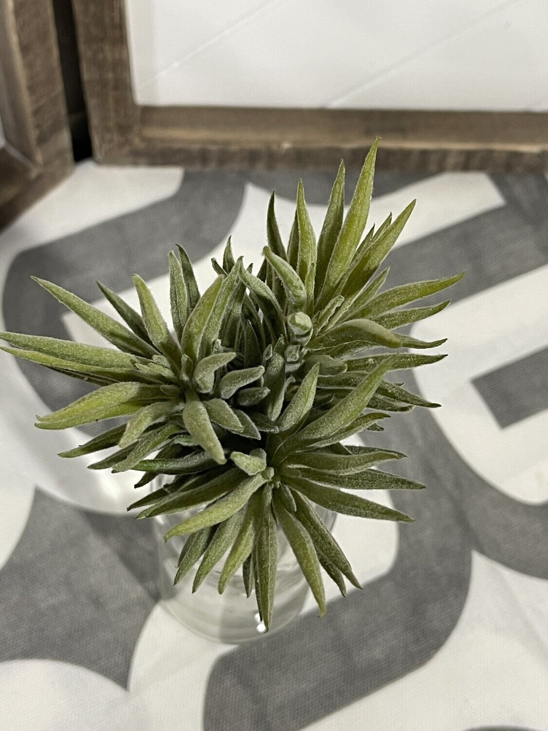 5&quot; Pine Needle Succulent Pick