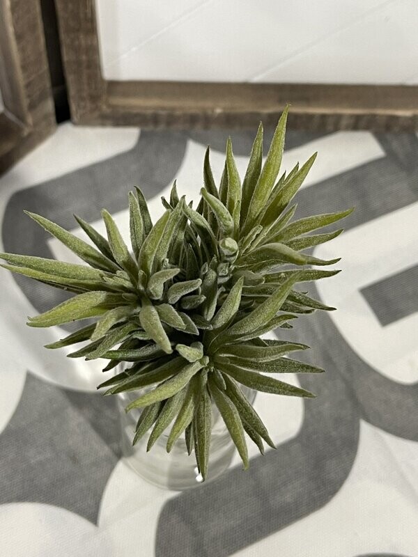 5&quot; Pine Needle Succulent Pick