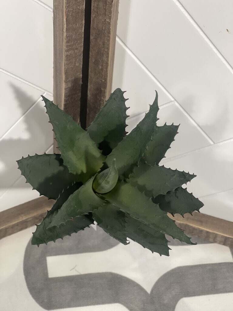 10&quot; Aloe Stem