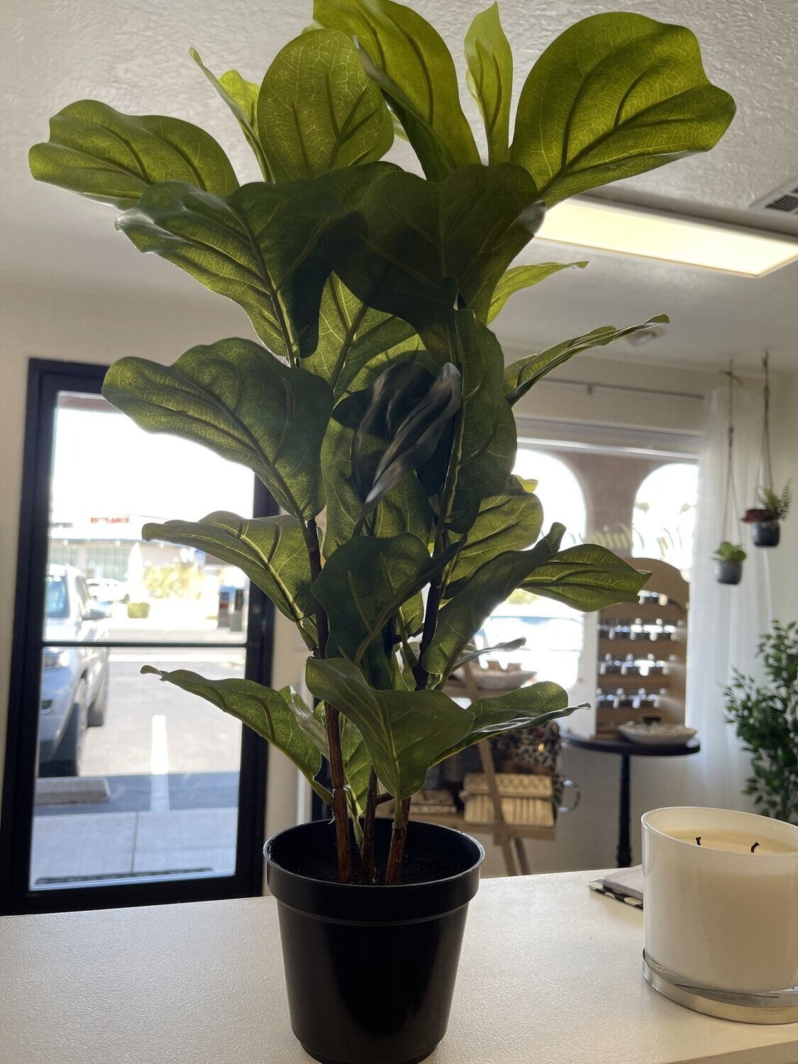 22&quot; Fiddle Leaf Planter