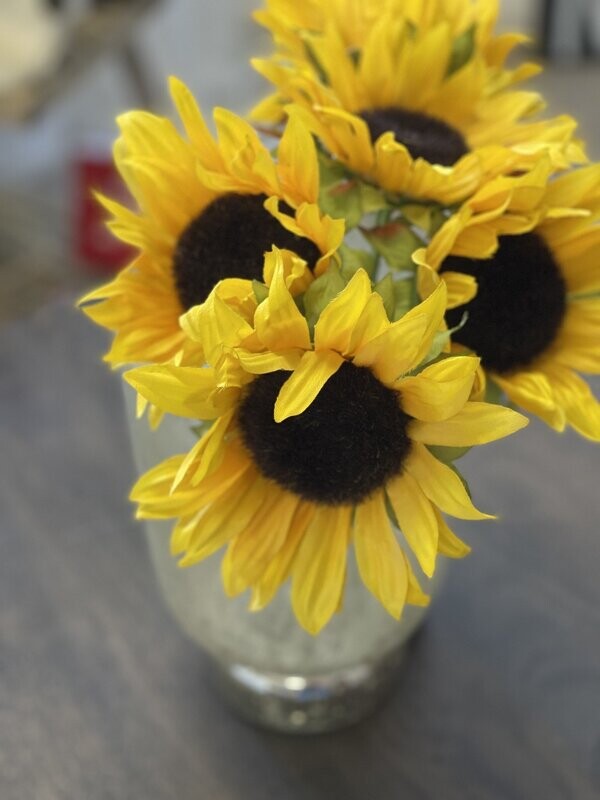 Sunflower Bundle of 5