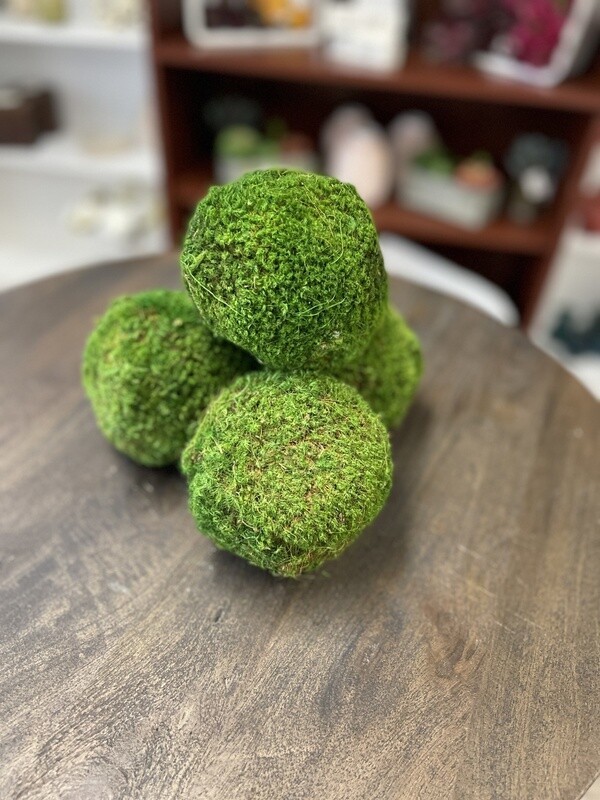 Moss Balls Small 4&quot;